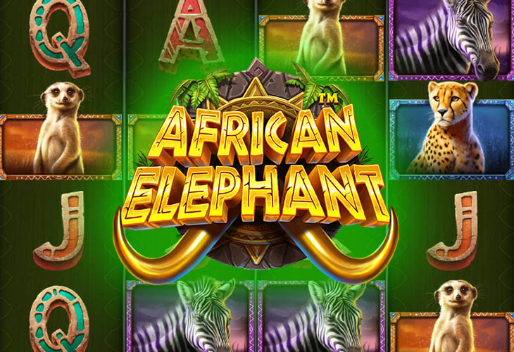 African Elephant by Pragmatic Play