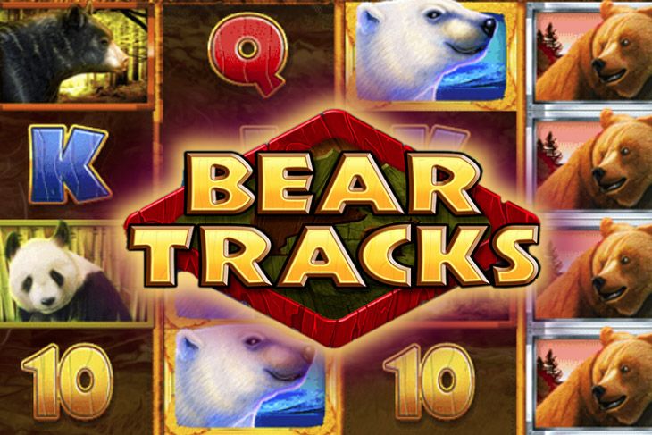 Bear Tracks by dwg
