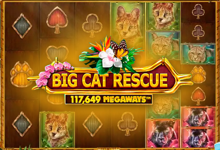 Big Cat Rescue MegaWays by red-tiger