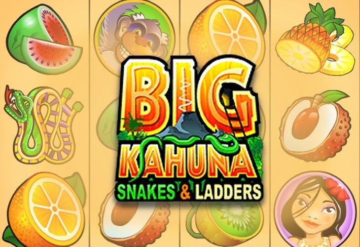 Big Kahuna Snakes & Ladders by Microgaming
