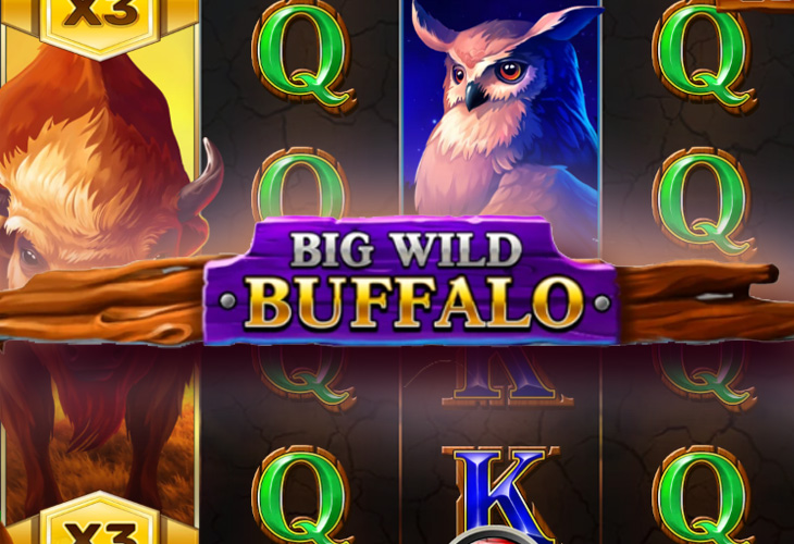 Big Wild Buffalo by belatra