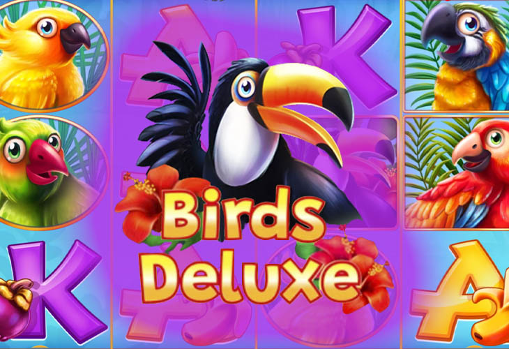 Birds Deluxe by Inbet Games