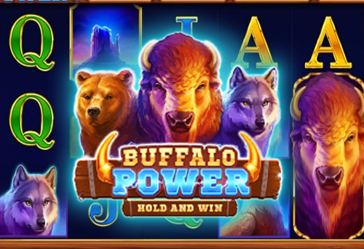Buffalo Power: Hold and Win by playson