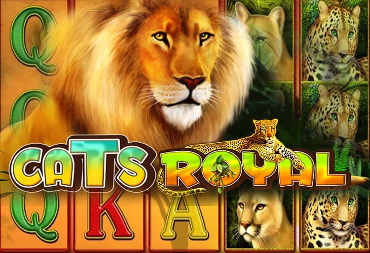 Cats Royal by Amusnet