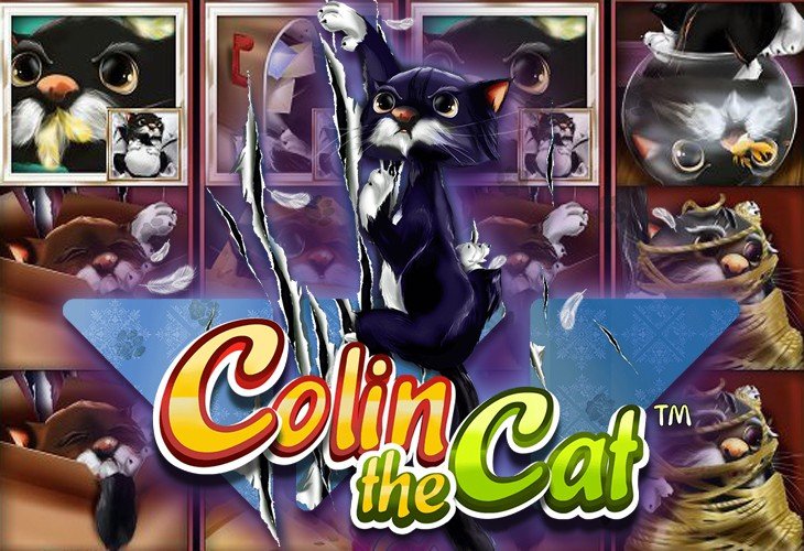 Colin the Cat by wazdan