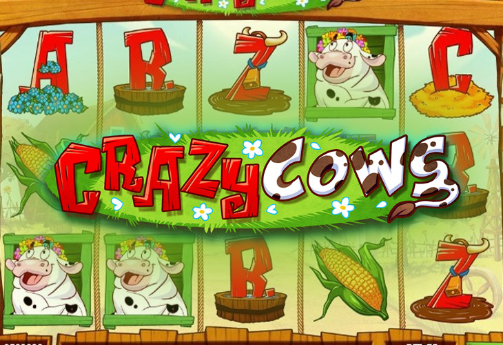 Crazy Cows by Play'n GO