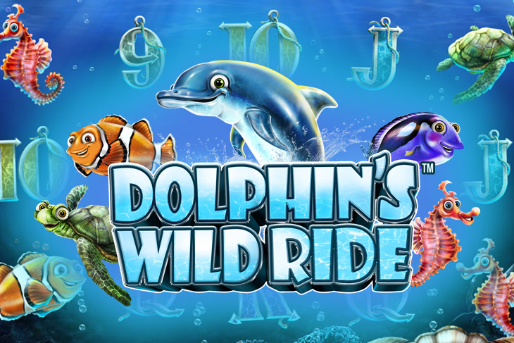Dolphin’s Wild Ride by synot-games