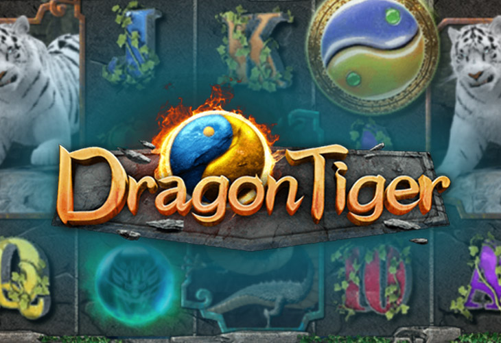 Dragon & Tiger by simpleplay