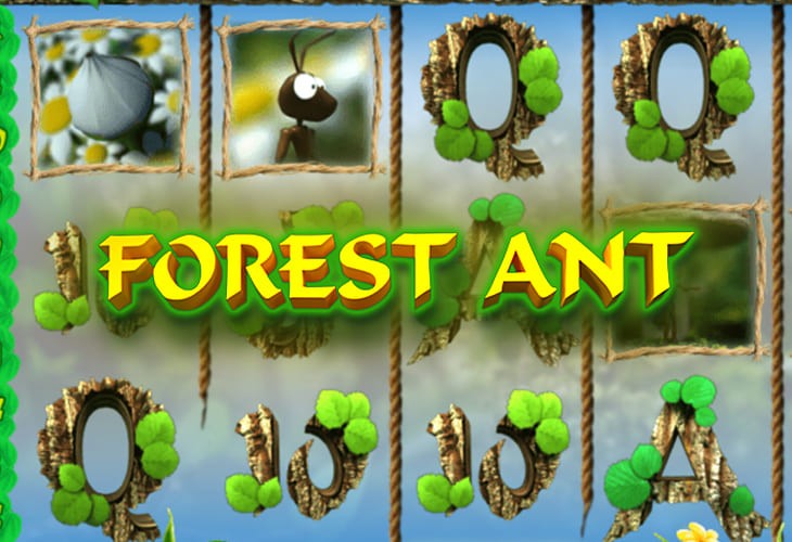 Forest Ant by Fugaso