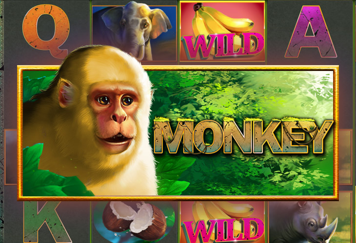 Monkey by Playstar