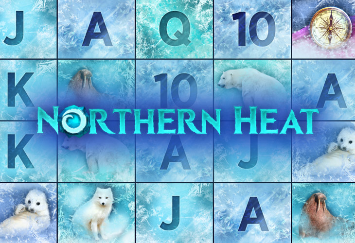 Northern Heat by Mascot