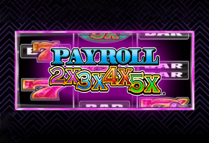 Payroll 2x3x4x5x by dwg