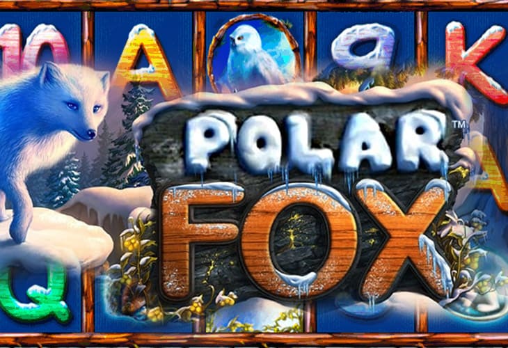 Polar Fox by NOVOMATIC