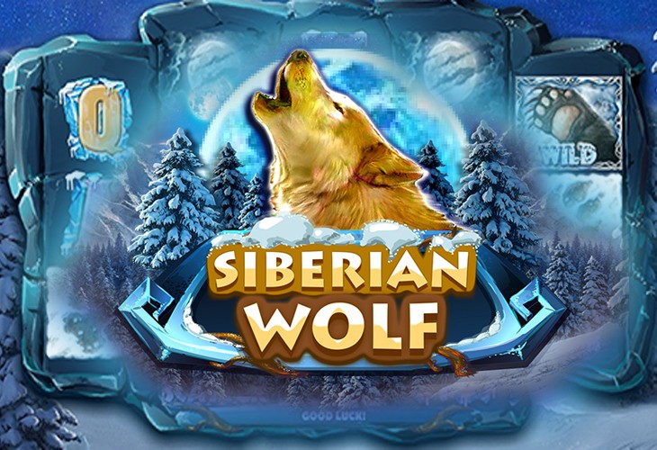 Siberian Wolf by Red Rake