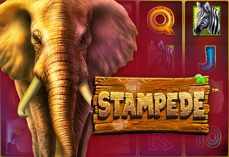 Stampede by Betsoft