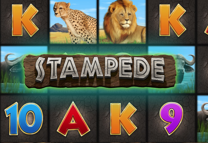 Stampede by Eyecon