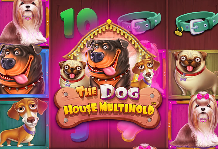 The Dog House Multihold by Pragmatic Play