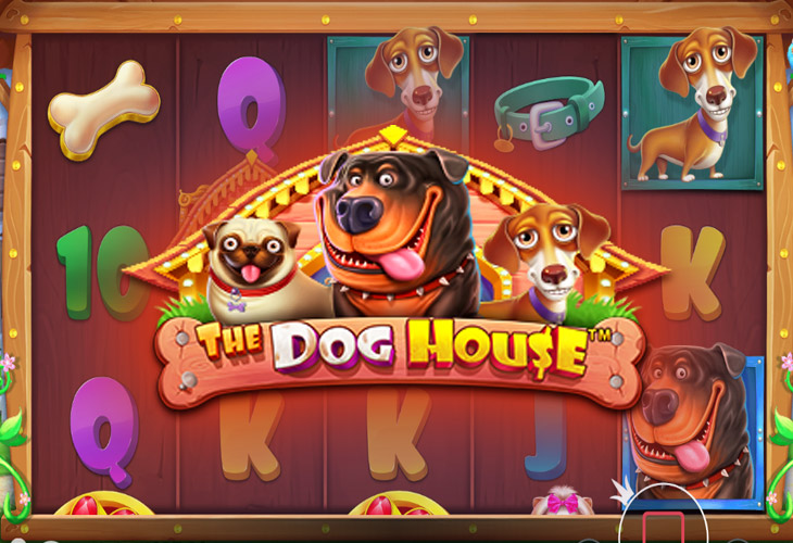 The Dog House by Pragmatic Play