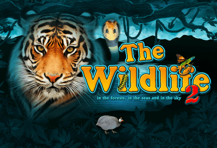 The Wildlife 2 by Belatra