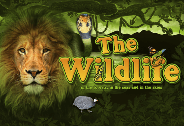 The Wildlife by belatra