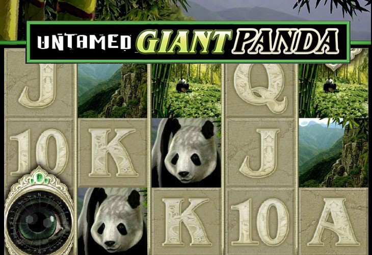 Untamed Giant Panda by Microgaming