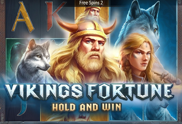 Vikings Fortune: Hold and Win by Playson