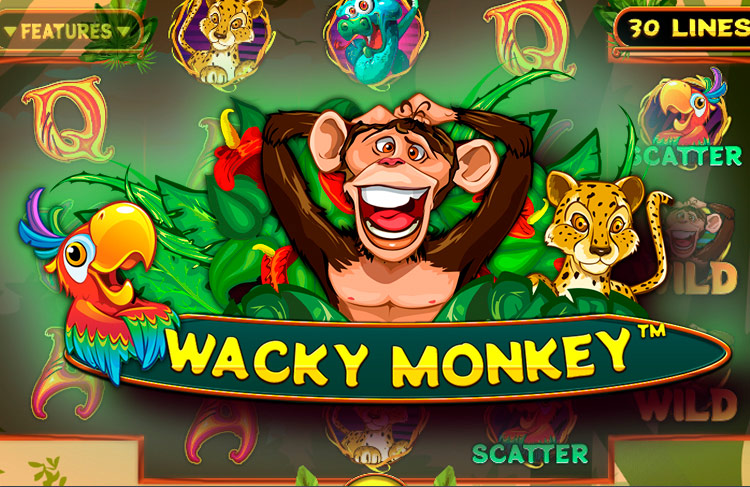 Wacky Monkey by Spinomenal