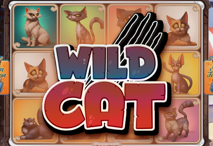 Wild Cat by Spinmatic