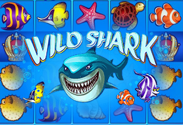 Wild Shark by Amatic