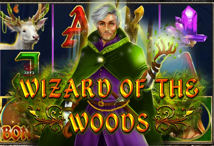 Wizard of the Woods by 2by2-gaming